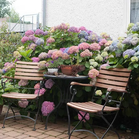 Neckar-koje Neckarsulm